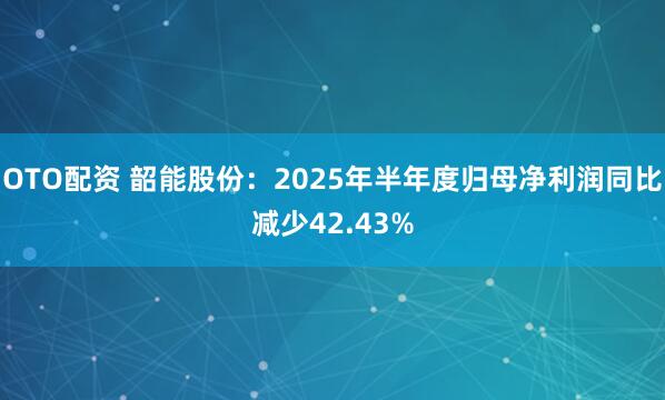 OTO配资 韶能股份：2025年半年度归母净利润同比减少42.43%
