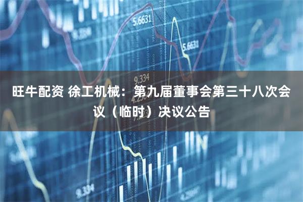 旺牛配资 徐工机械：第九届董事会第三十八次会议（临时）决议公告