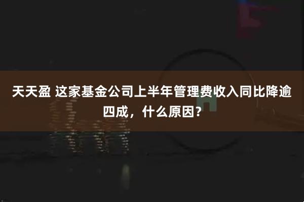 天天盈 这家基金公司上半年管理费收入同比降逾四成,什么原因?